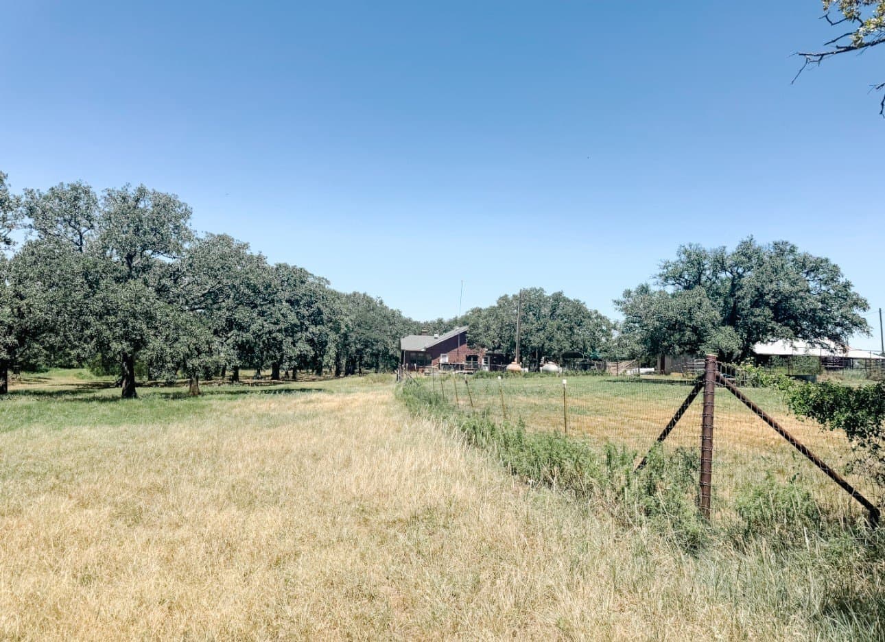 77.82 acres in Eastland County - photo 36