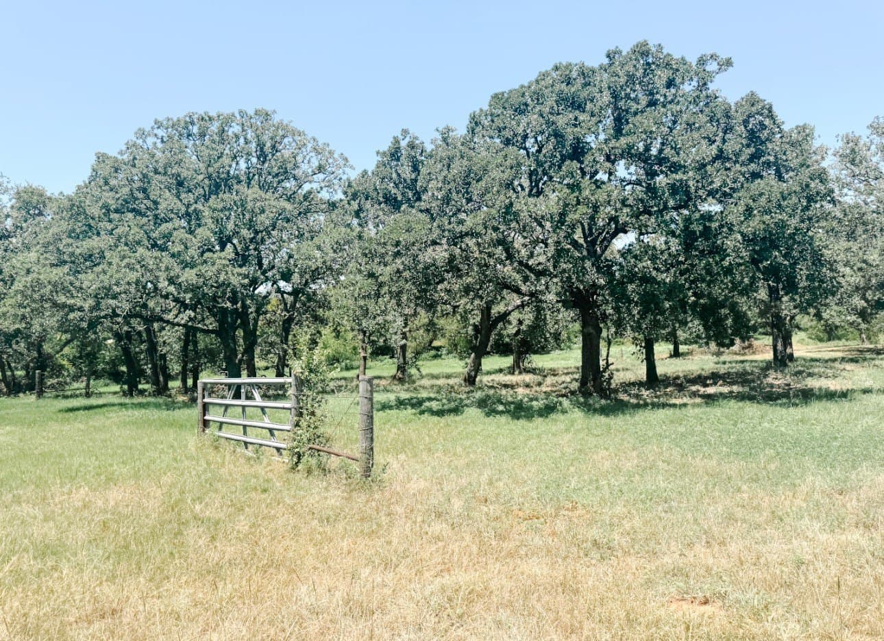 77.82 acres in Eastland County - photo 35