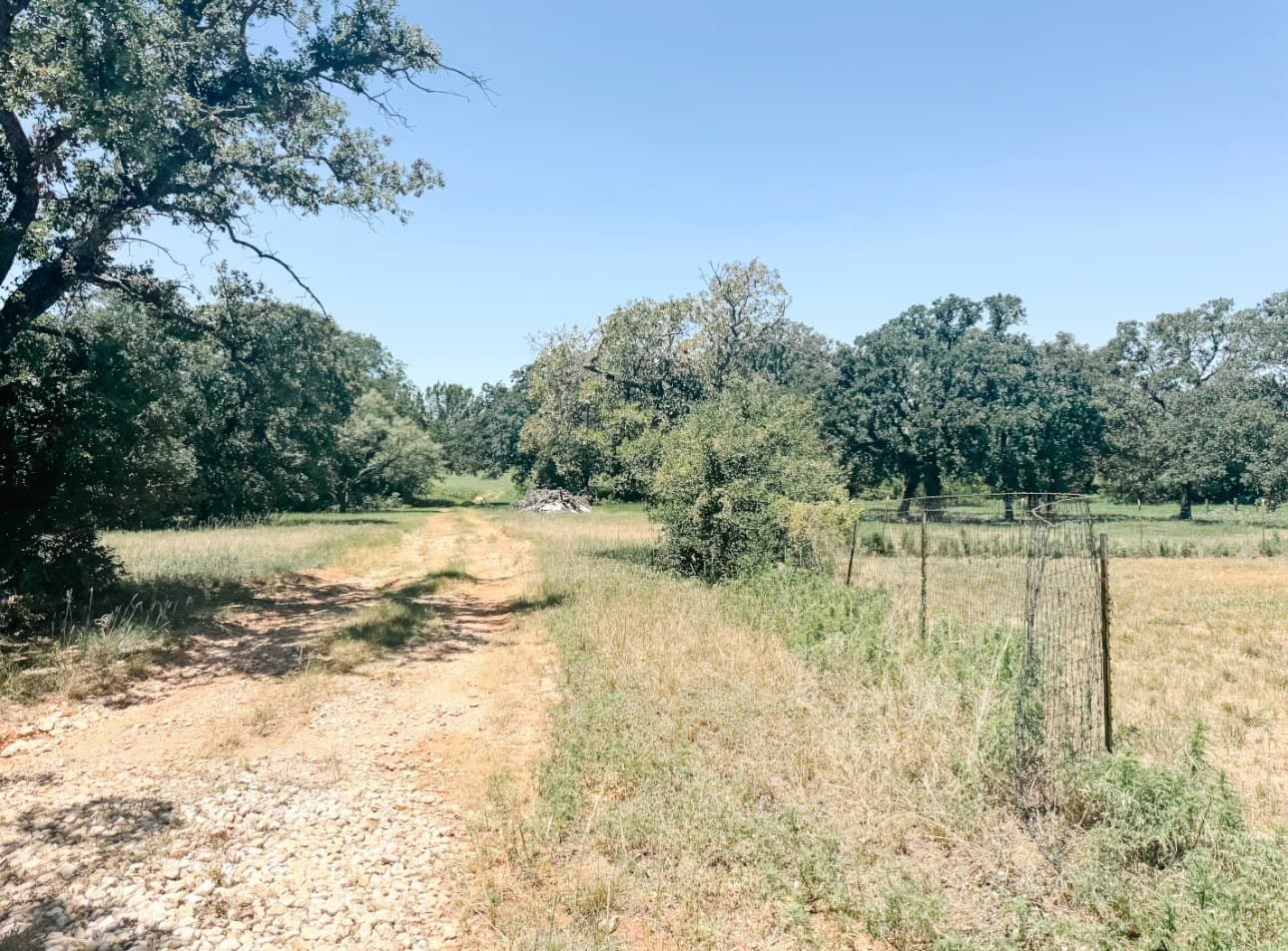 77.82 acres in Eastland County - photo 34