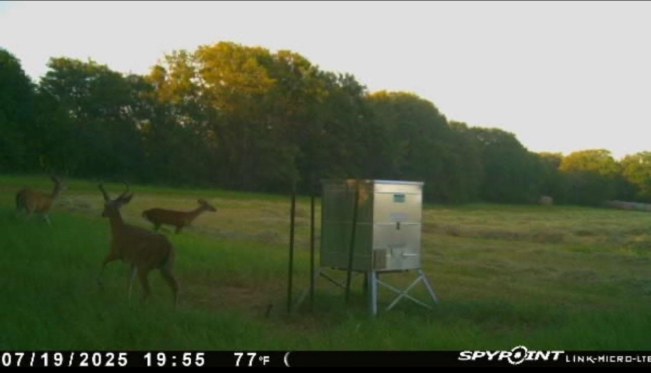 77.82 acres in Eastland County - photo 25