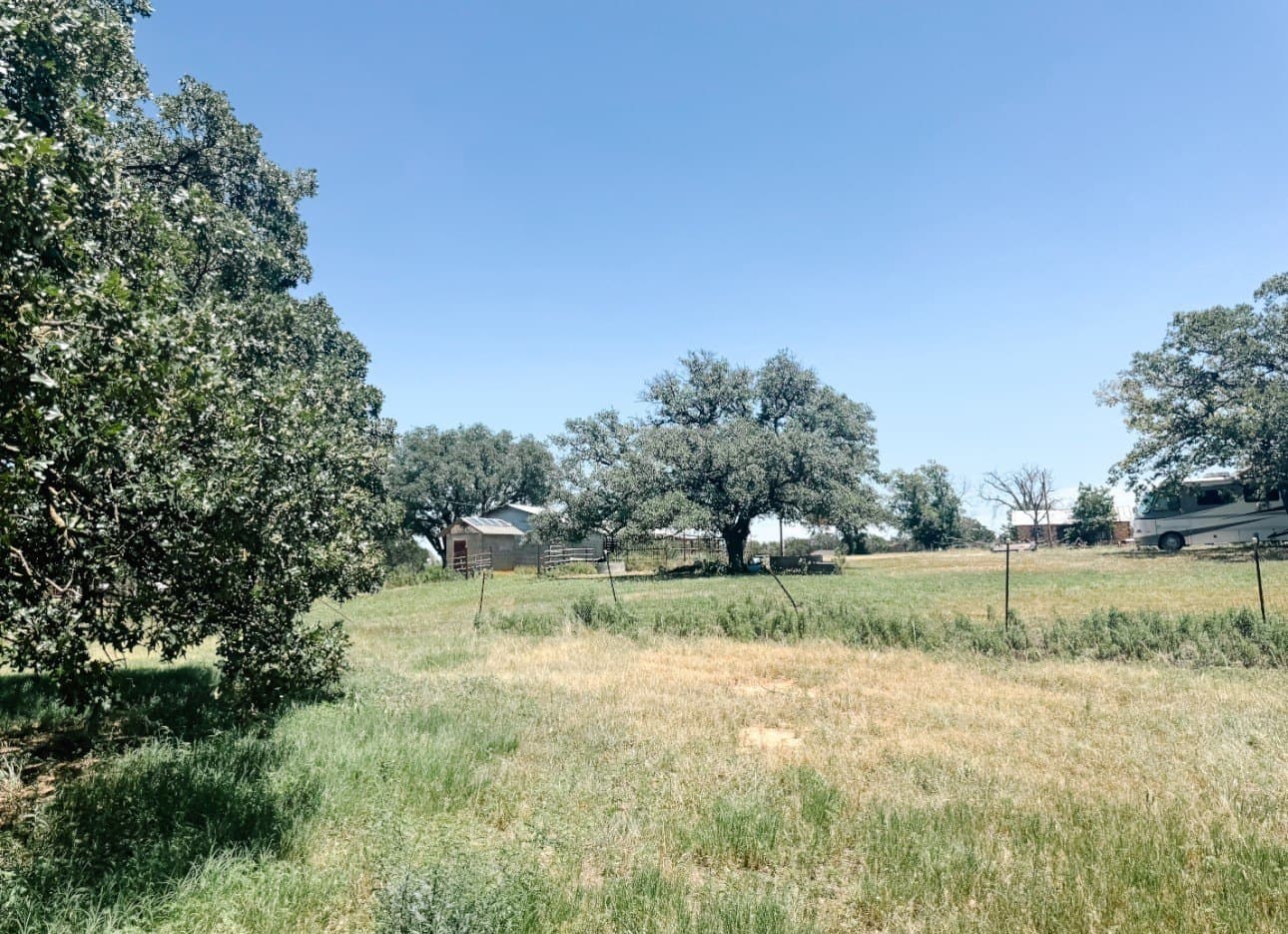 77.82 acres in Eastland County - photo 37