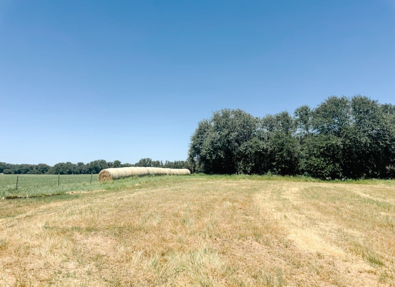 77.82 acres in Eastland County - photo 39