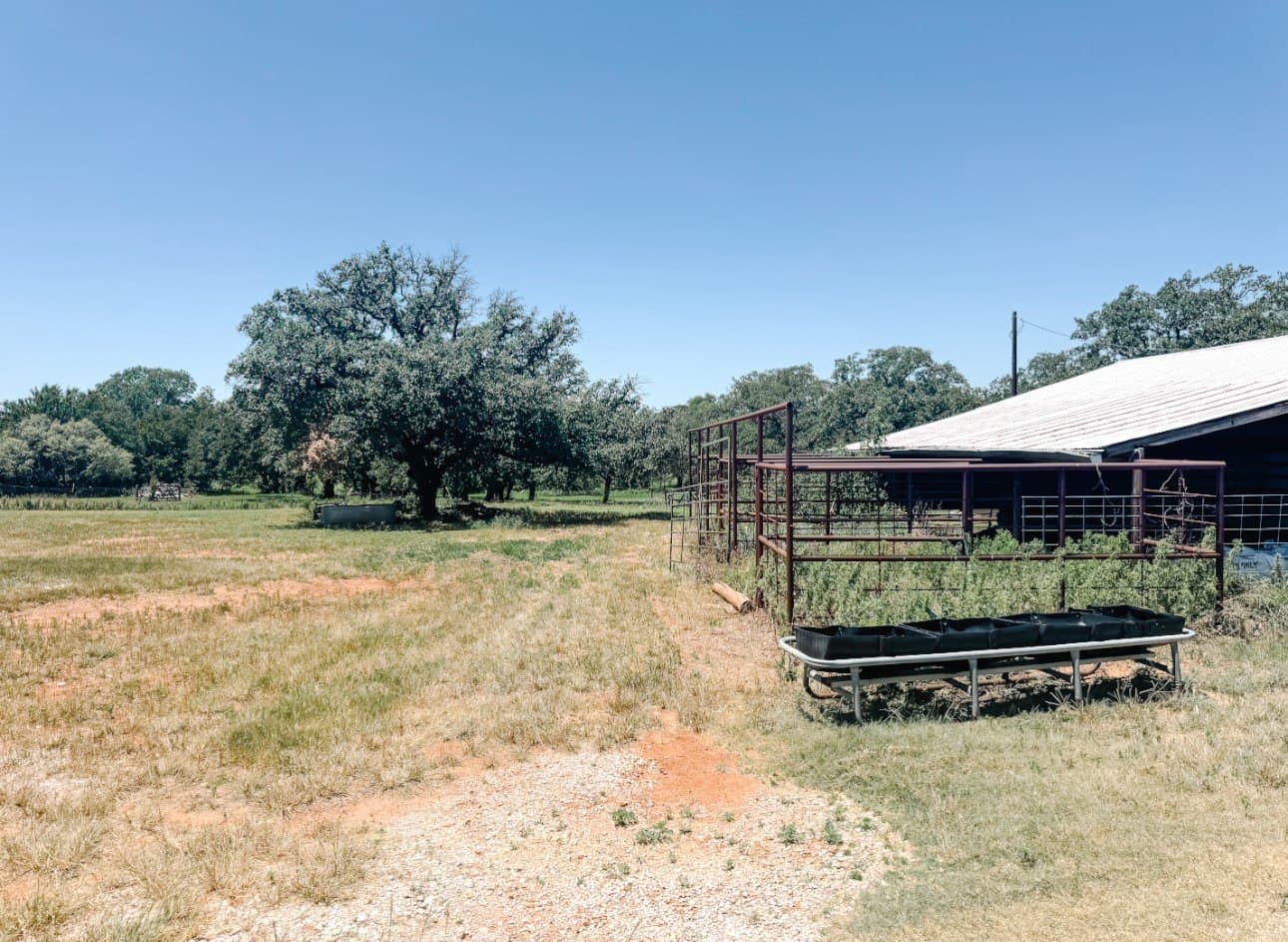 77.82 acres in Eastland County - photo 27