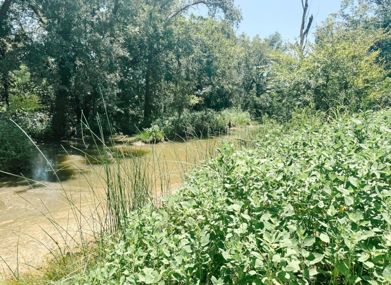 77.82 acres in Eastland County - photo 30