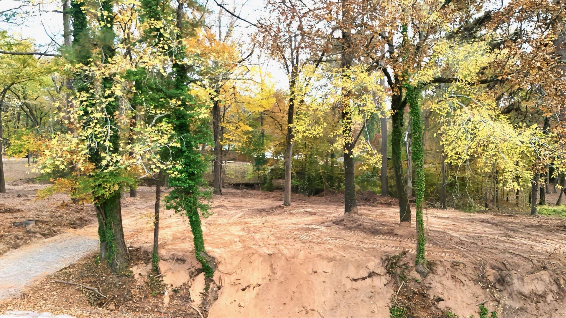 0.38 acres in Texas County gallery image 3