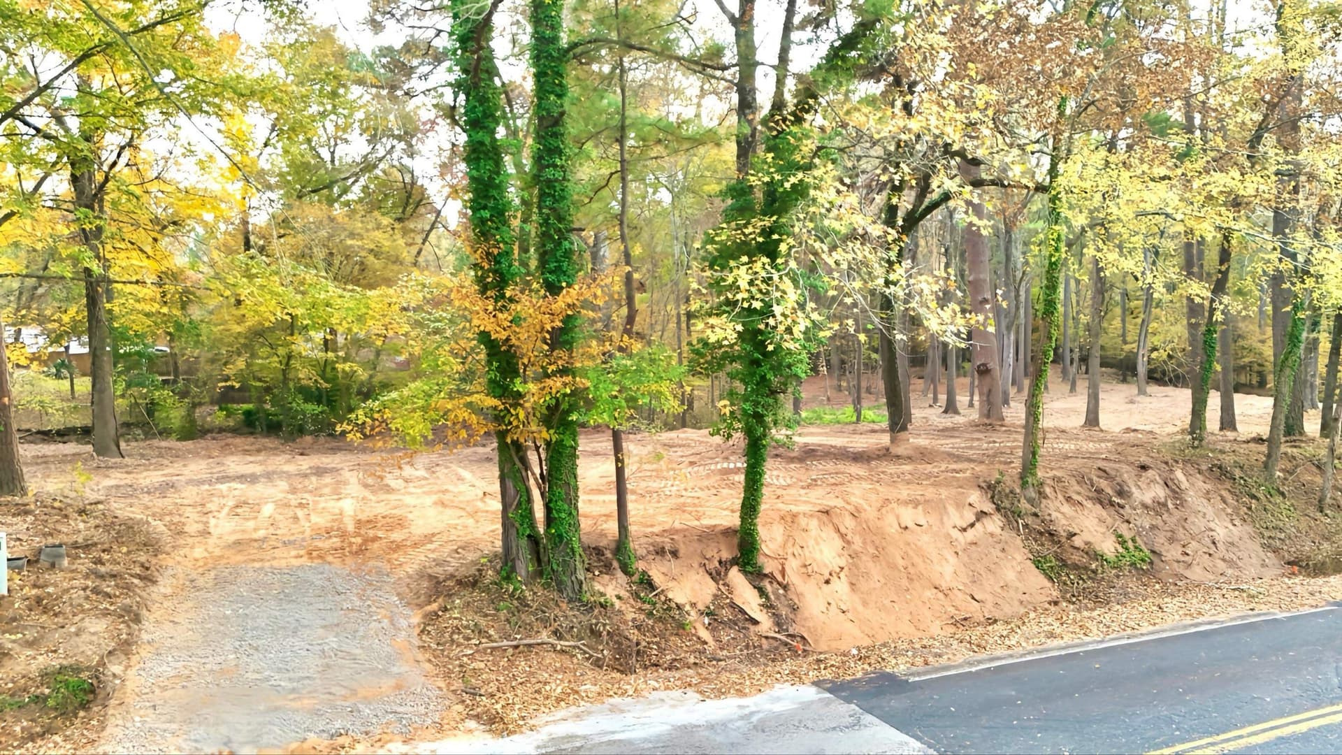 0.38 acres in Texas County gallery image 2