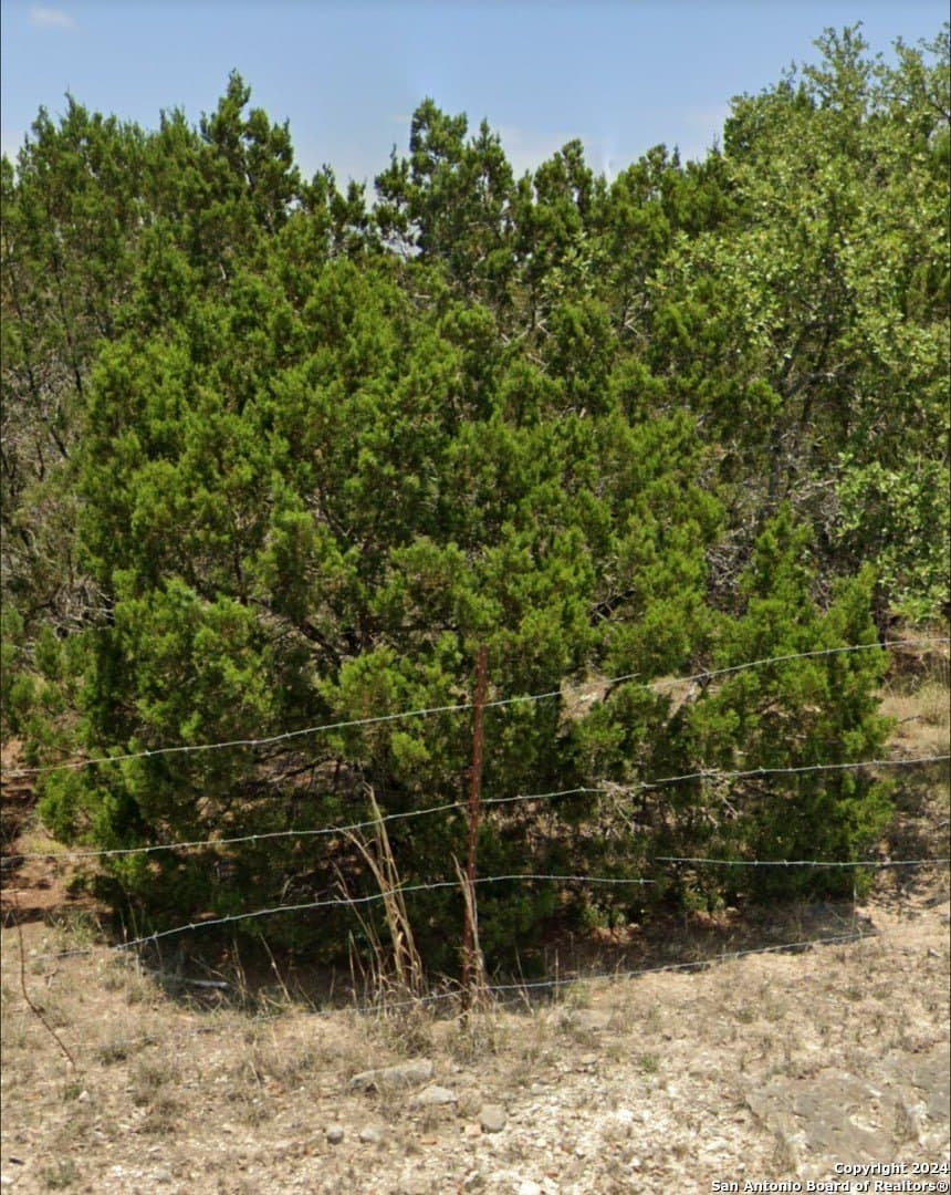 1.16 acres in Comal County - photo 7