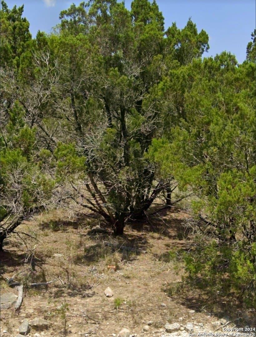 1.16 acres in Comal County - photo 9