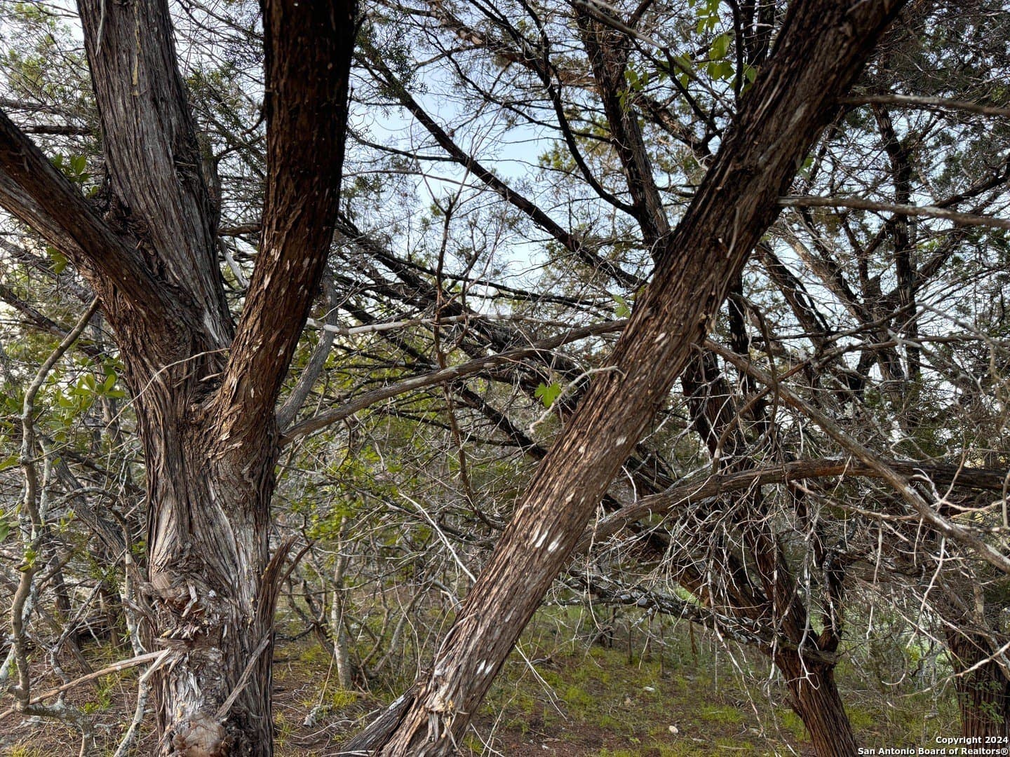 1.16 acres in Comal County - photo 3