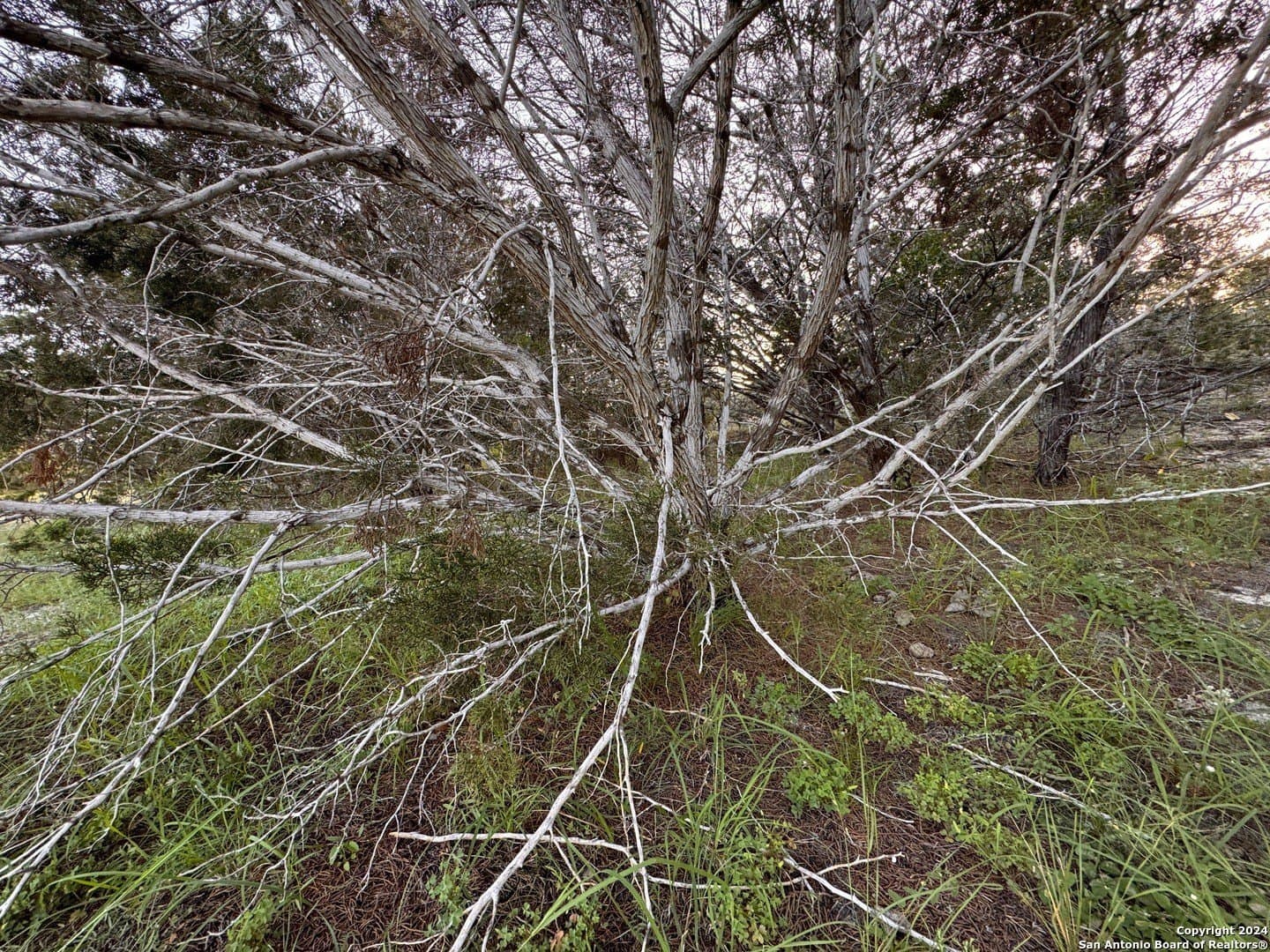 1.16 acres in Comal County - photo 4