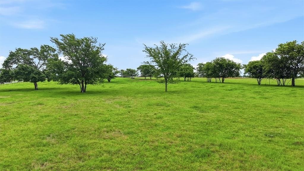 10.5 acres in Grayson County gallery image 4