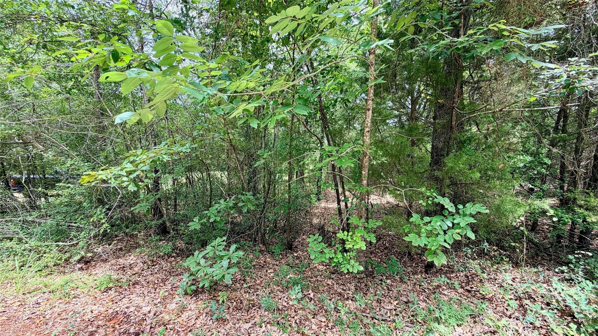 0.62 acres in Henderson County - photo 9