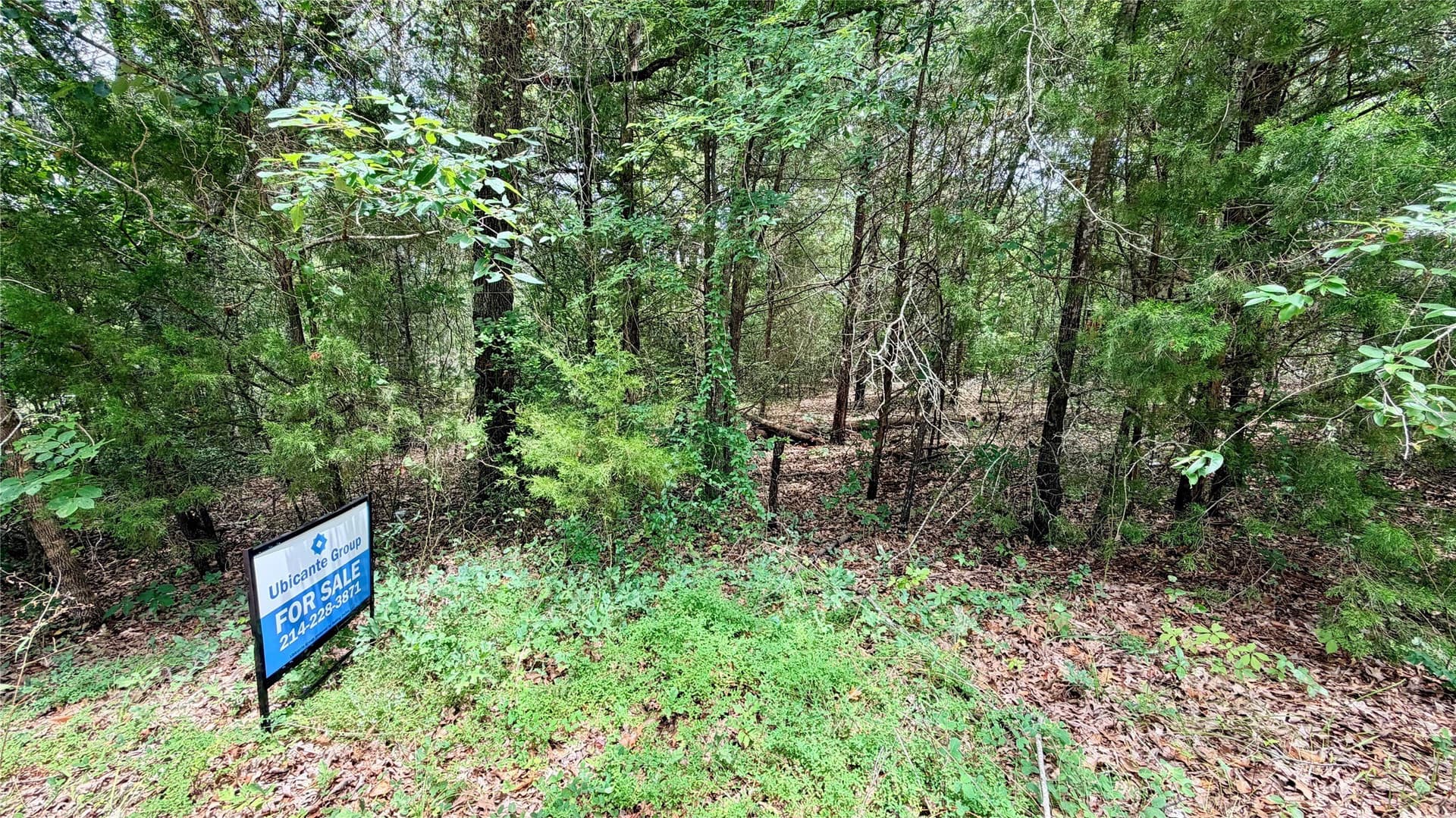 0.62 acres in Henderson County - photo 10