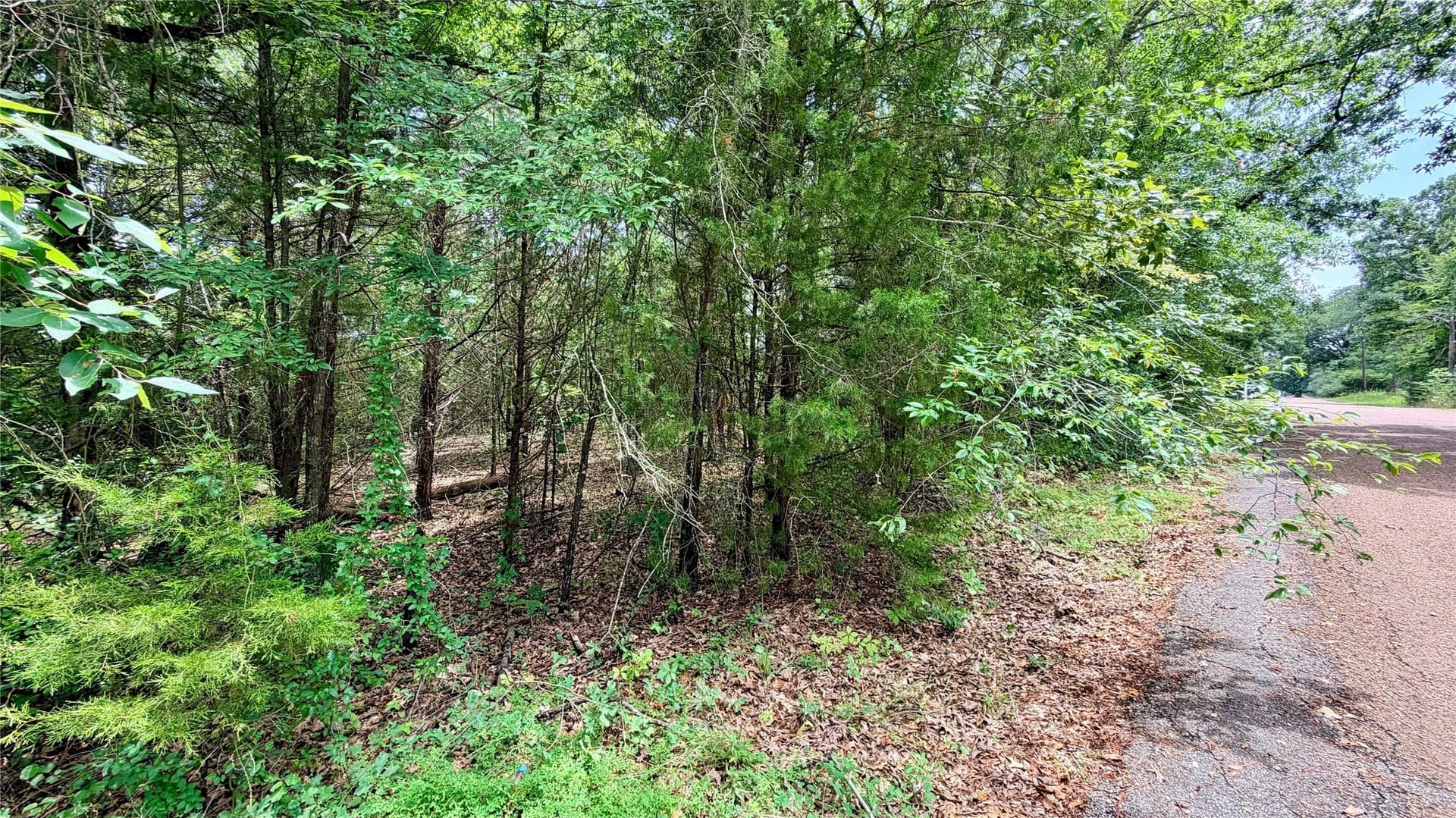 0.62 acres in Henderson County - photo 8