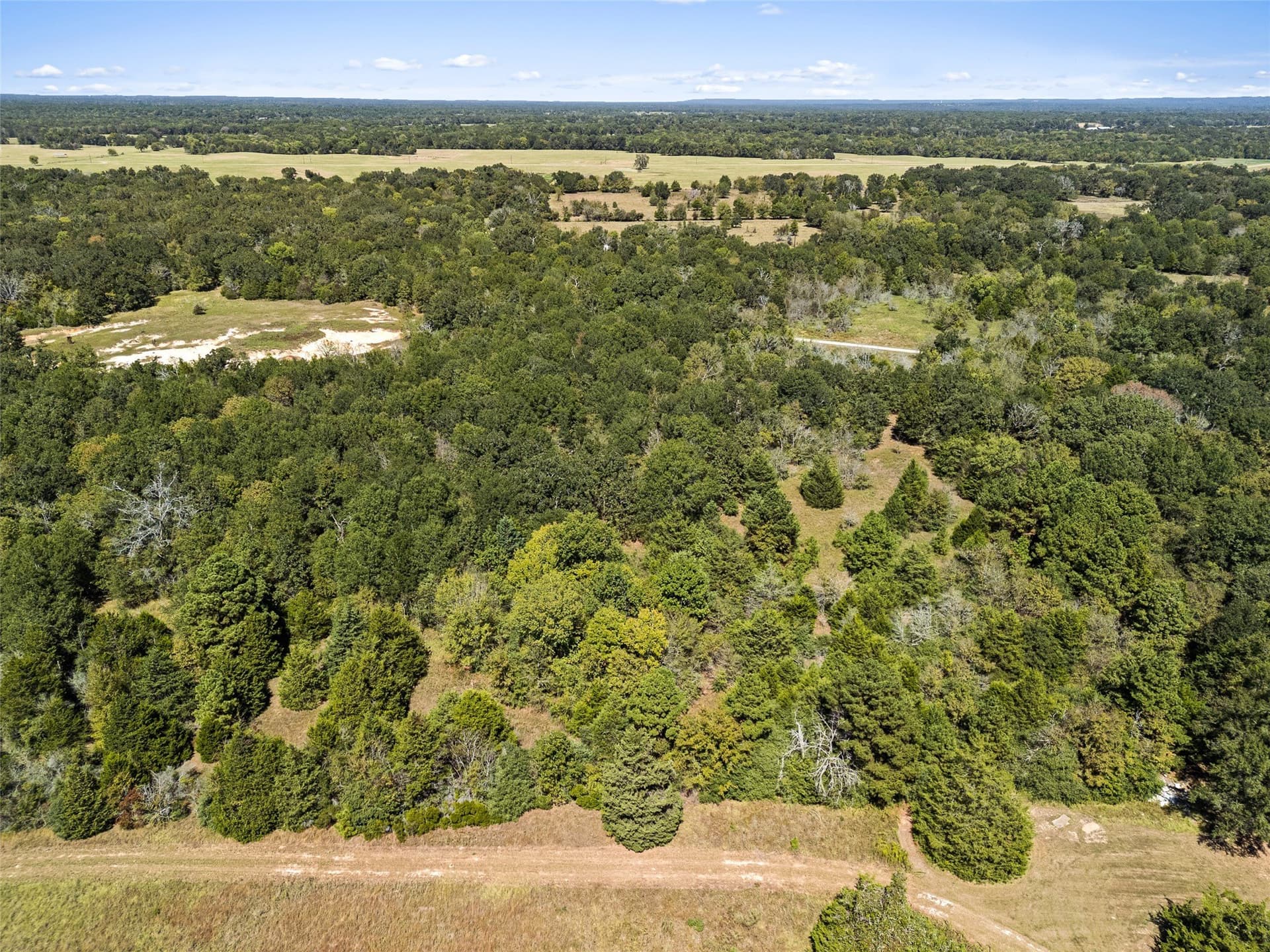 51.54 acres in Anderson County - photo 16
