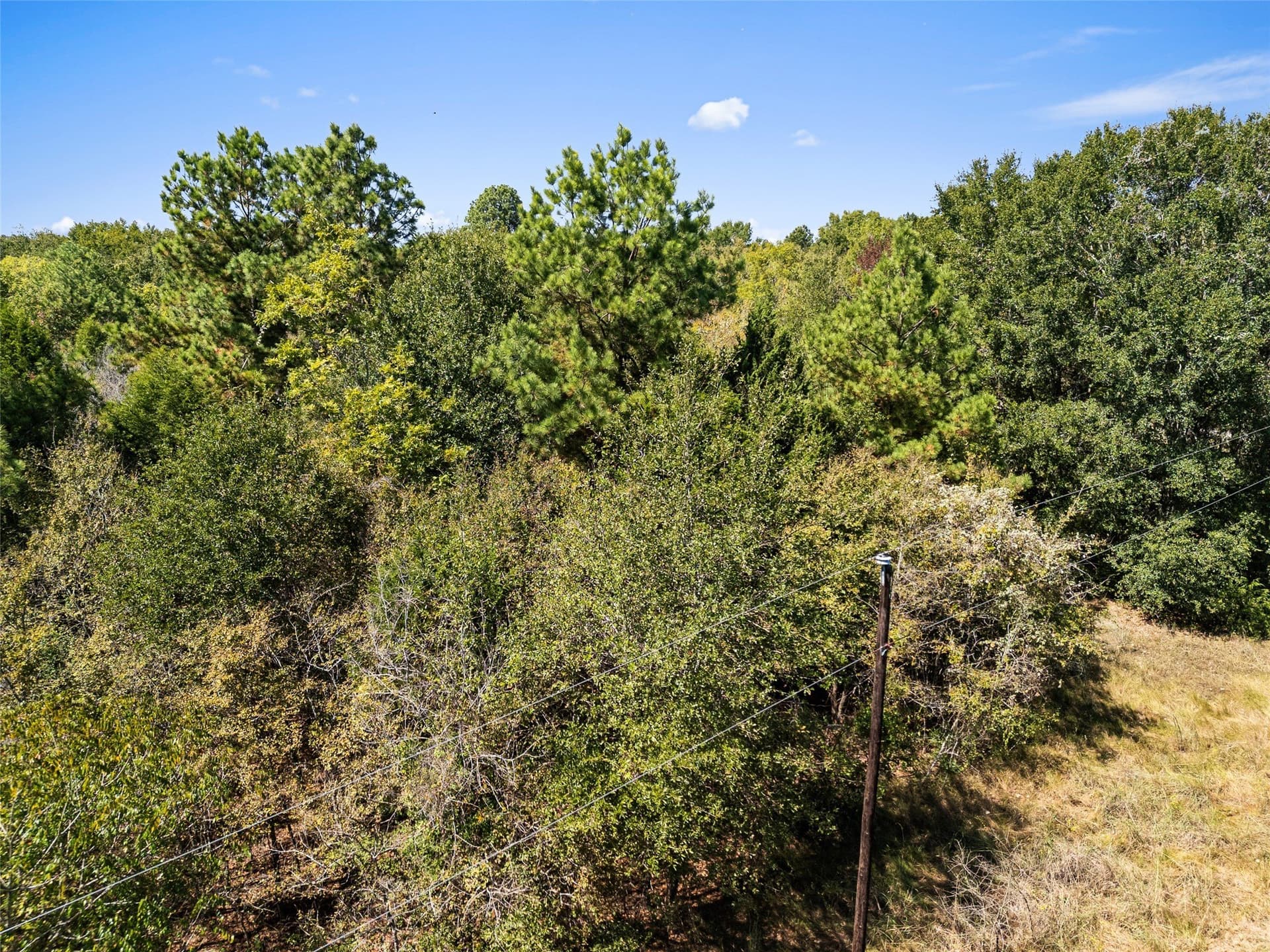 51.54 acres in Anderson County - photo 28
