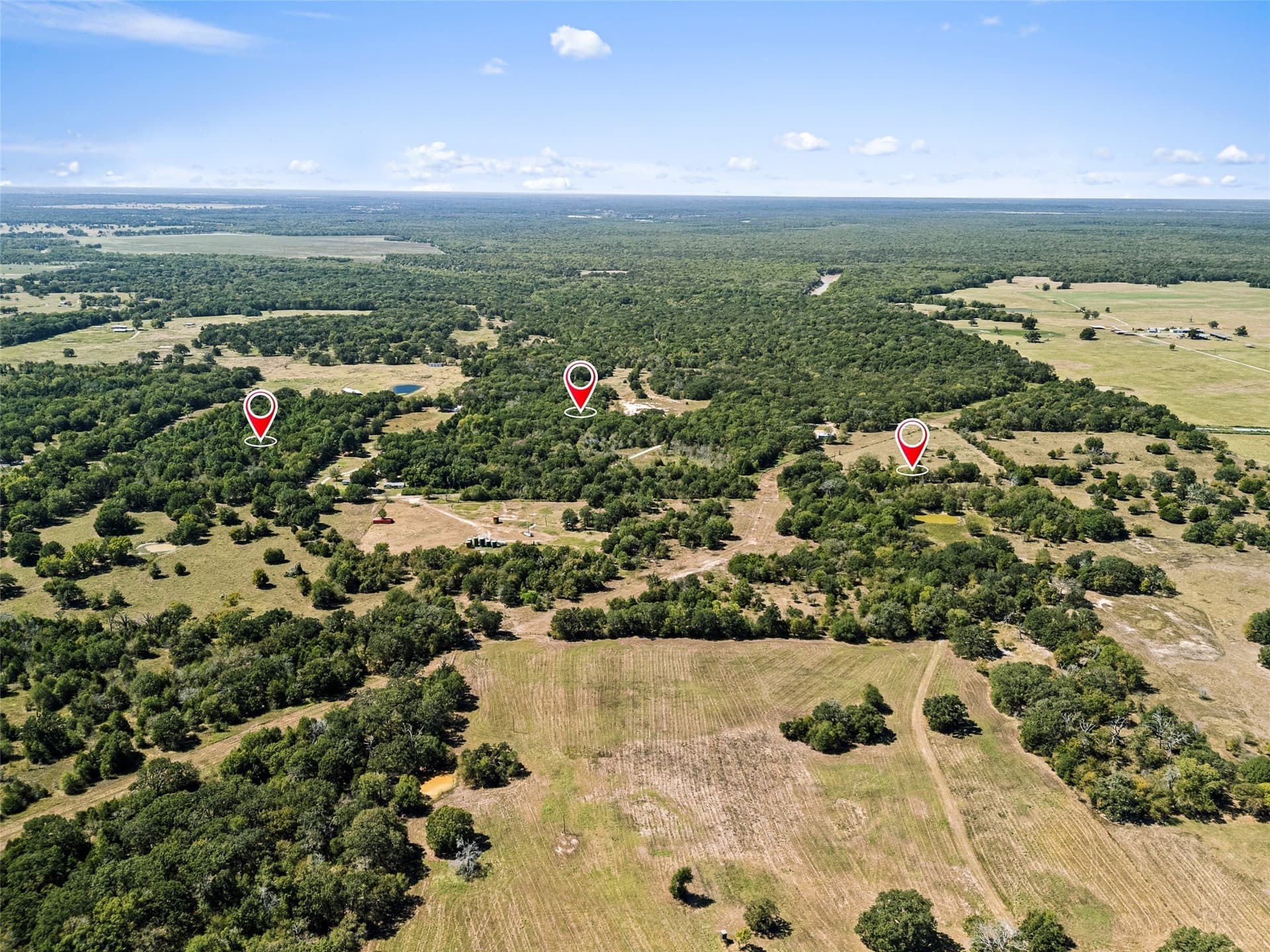 51.54 acres in Anderson County - photo 9
