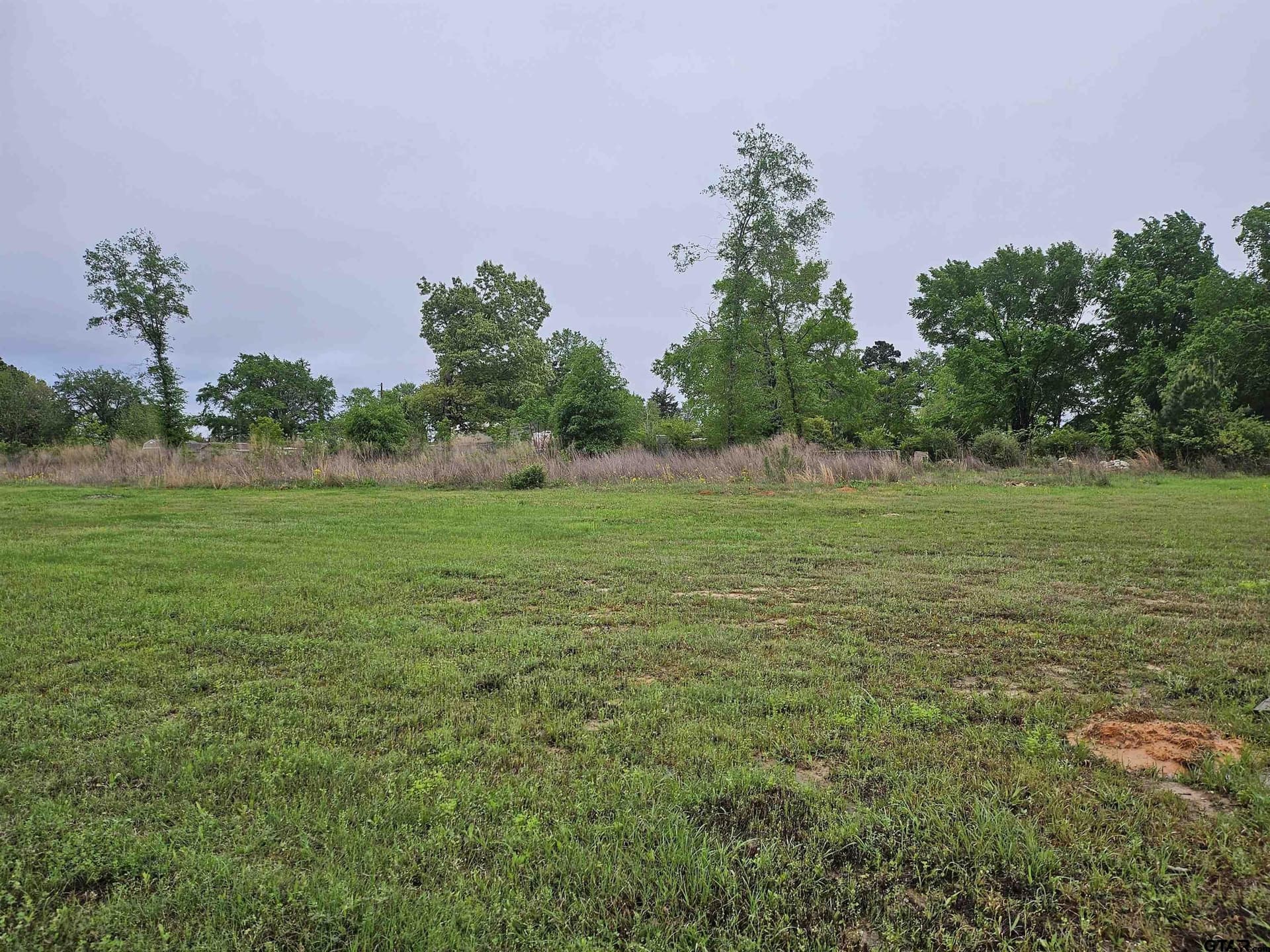 0 acres in Henderson County gallery image 2