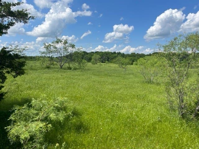 32 acres in Grayson County - photo 3