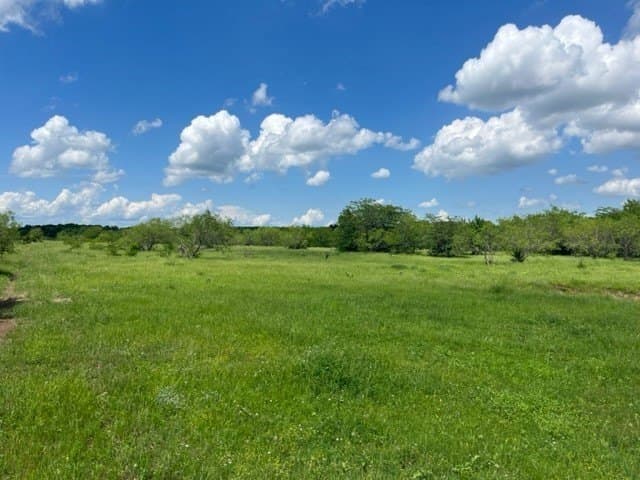 32 acres in Grayson County - photo 5