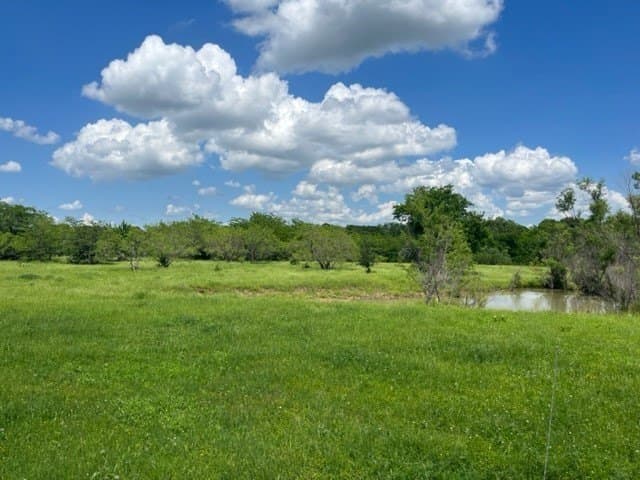 32 acres in Grayson County - photo 6