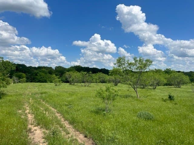 32 acres in Grayson County - photo 2
