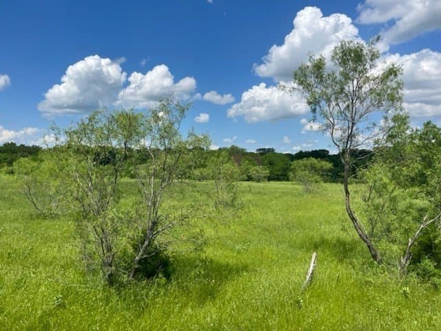 32 acres in Grayson County - photo 4