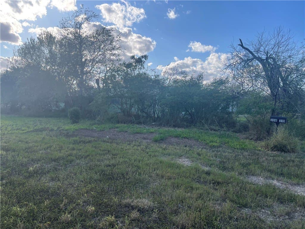 0.21 acres in Nueces County gallery image 4