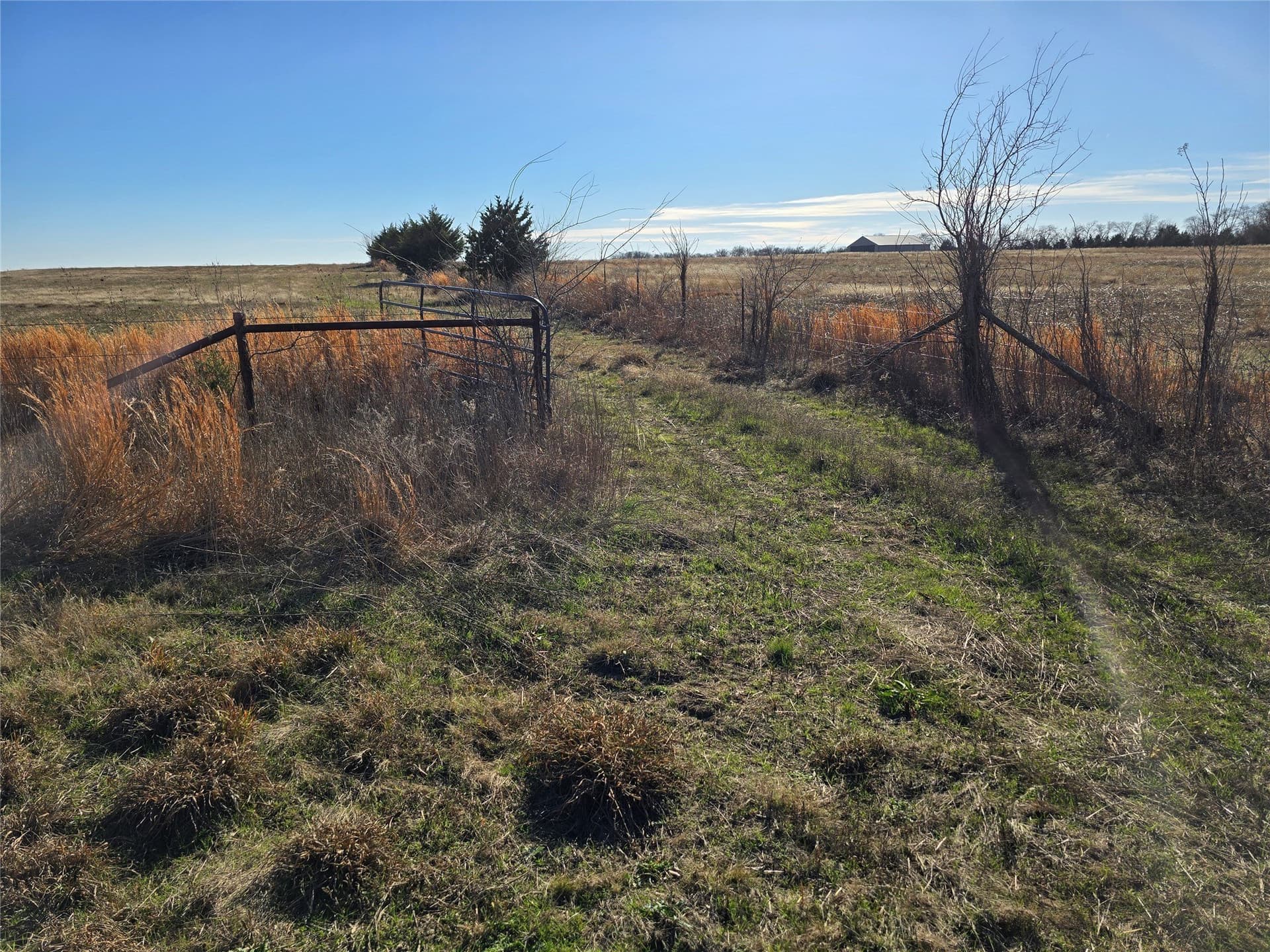 50 acres in Grayson County gallery image 3