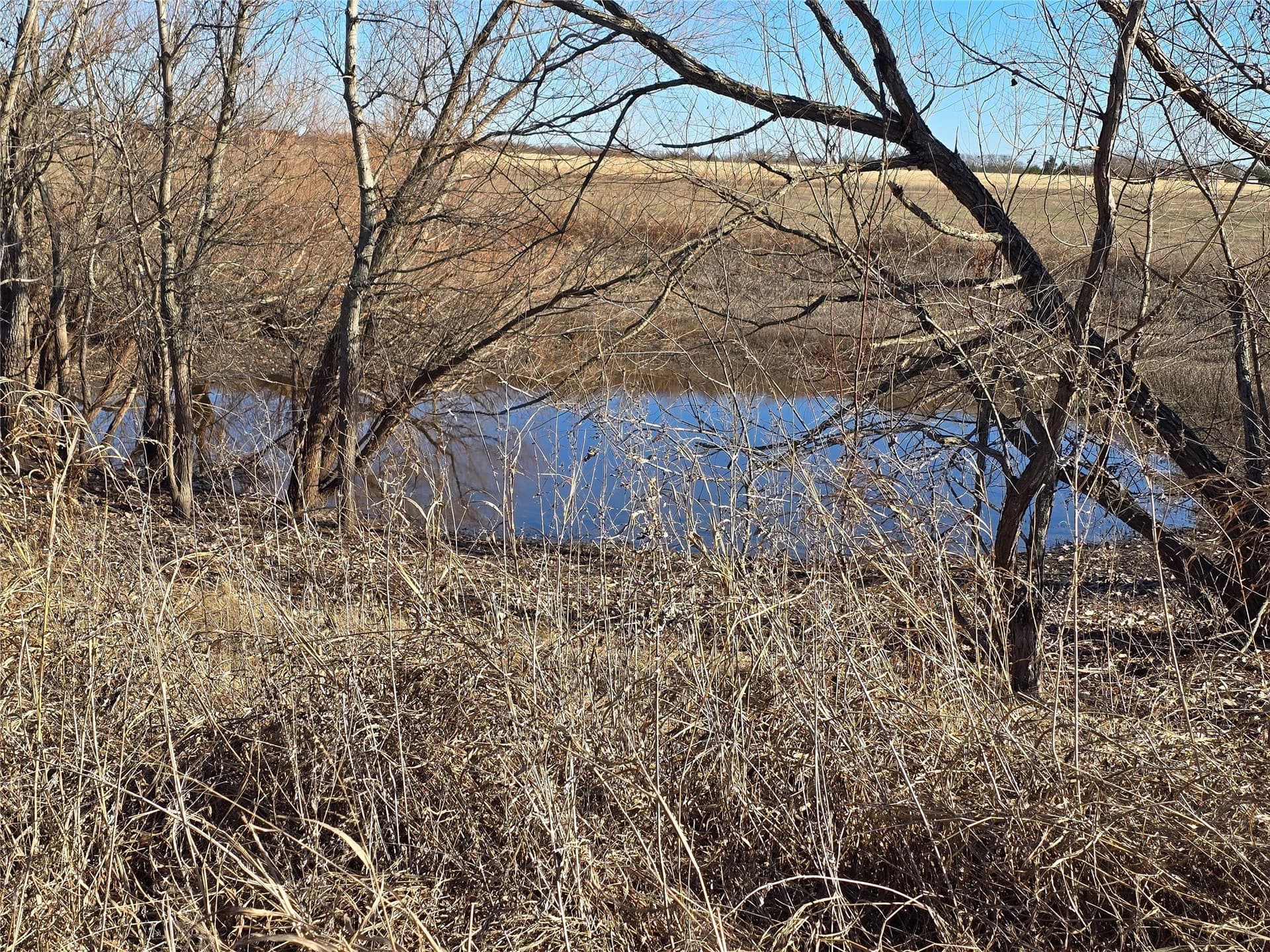 50 acres in Grayson County featured view