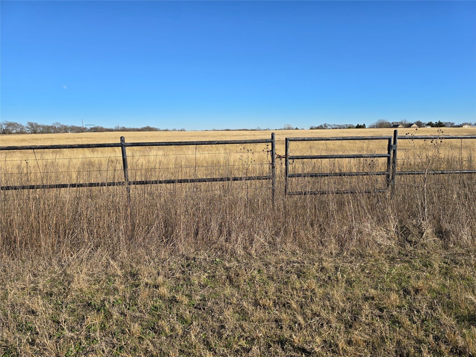 50 acres in Grayson County gallery image 2