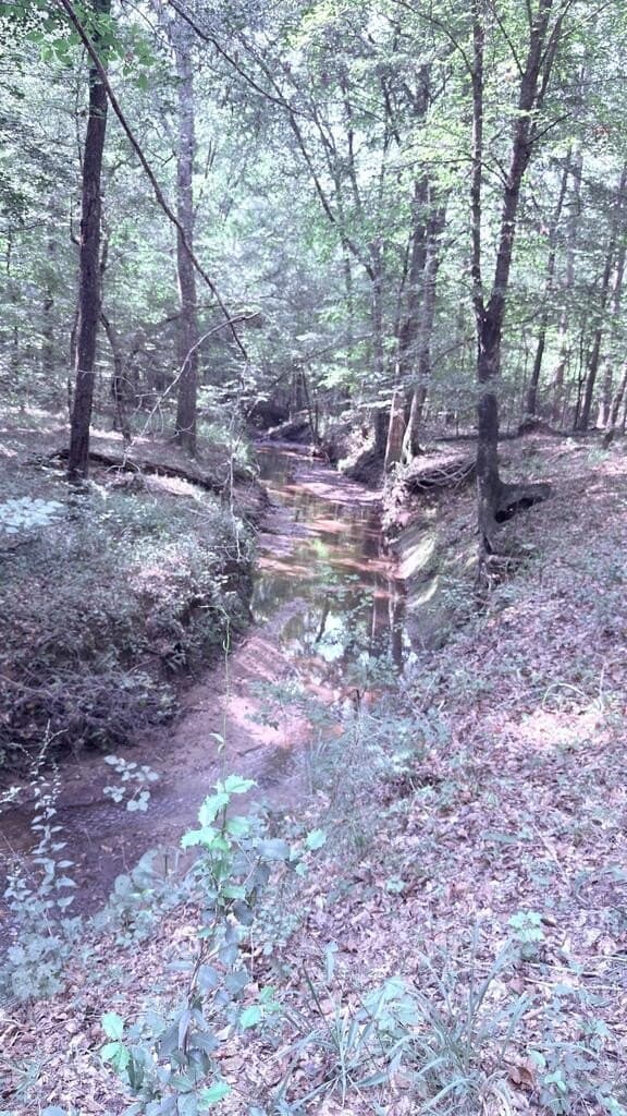 98.26 acres in Texas County - photo 10