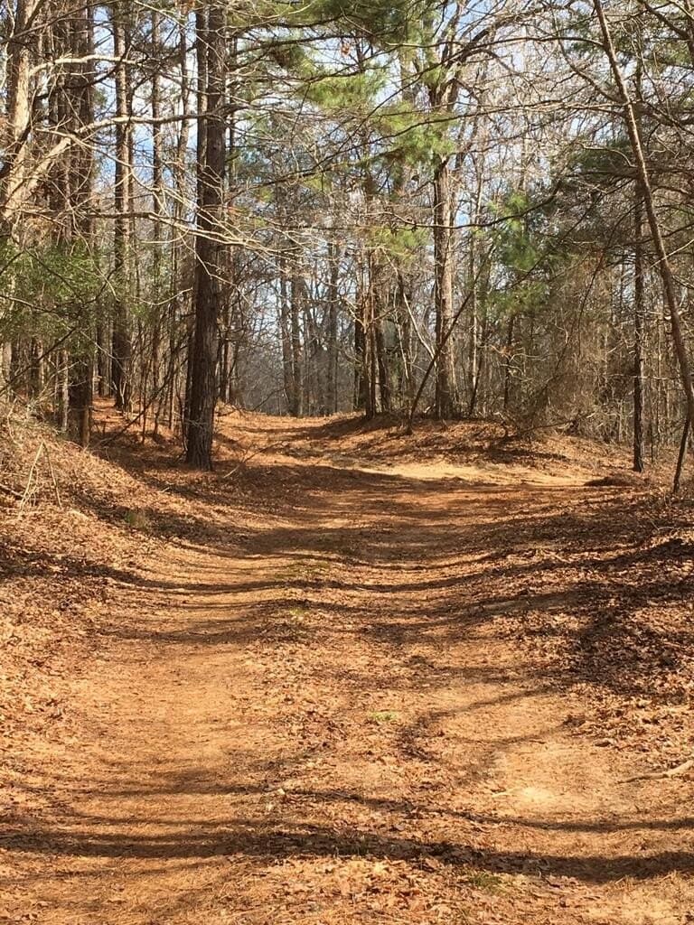 98.26 acres in Texas County - photo 15