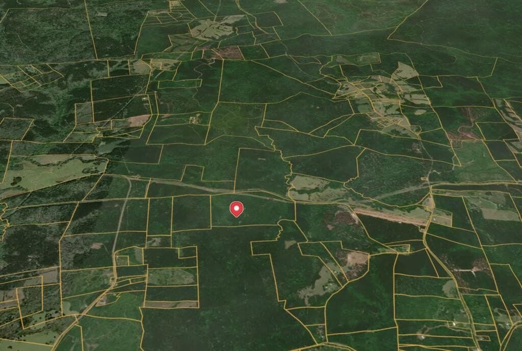 98.26 acres in Texas County - photo 32