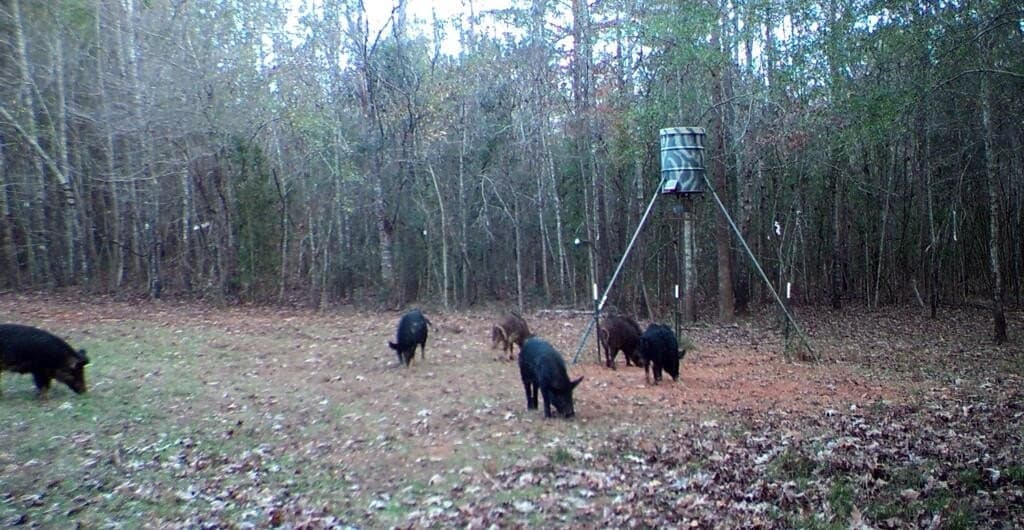 98.26 acres in Texas County - photo 26