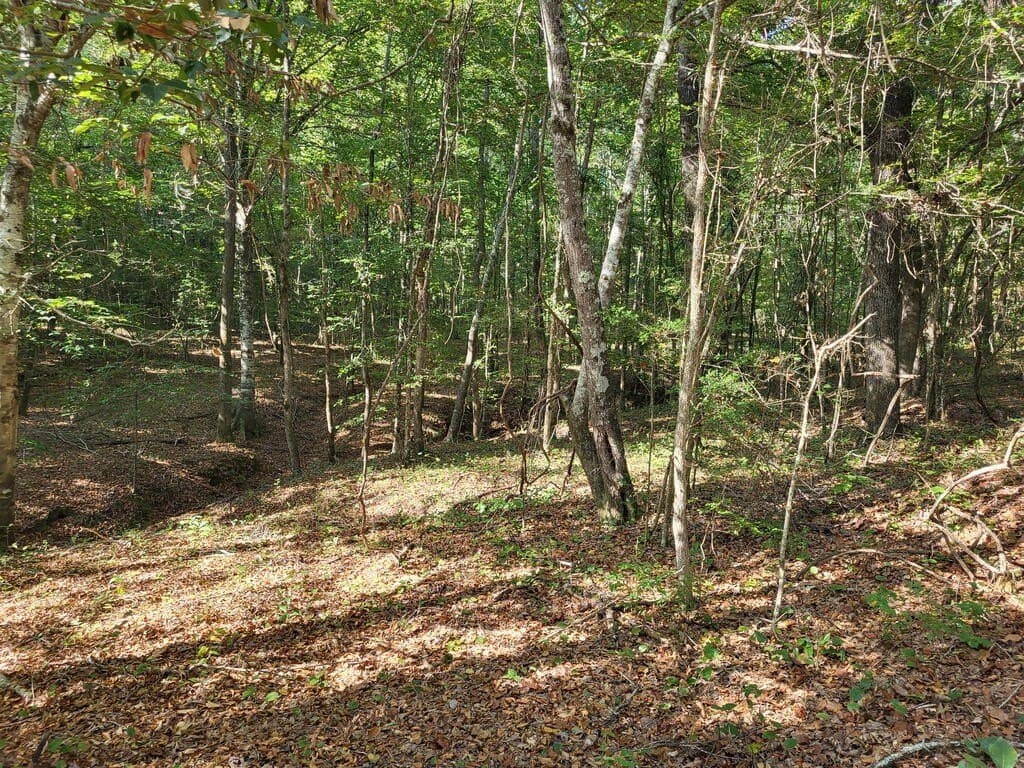 98.26 acres in Texas County - photo 8