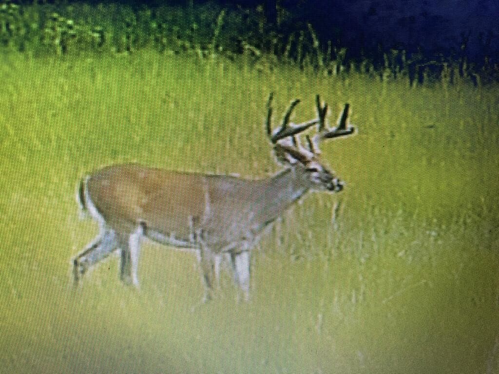 98.26 acres in Texas County - photo 27