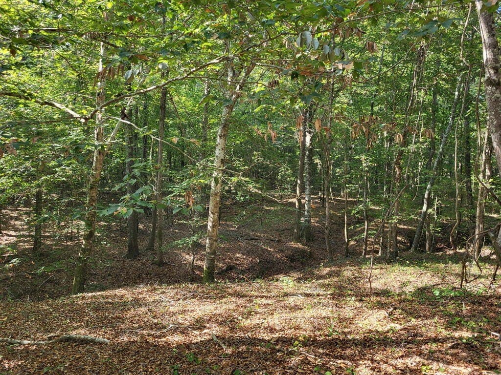 98.26 acres in Texas County - photo 7