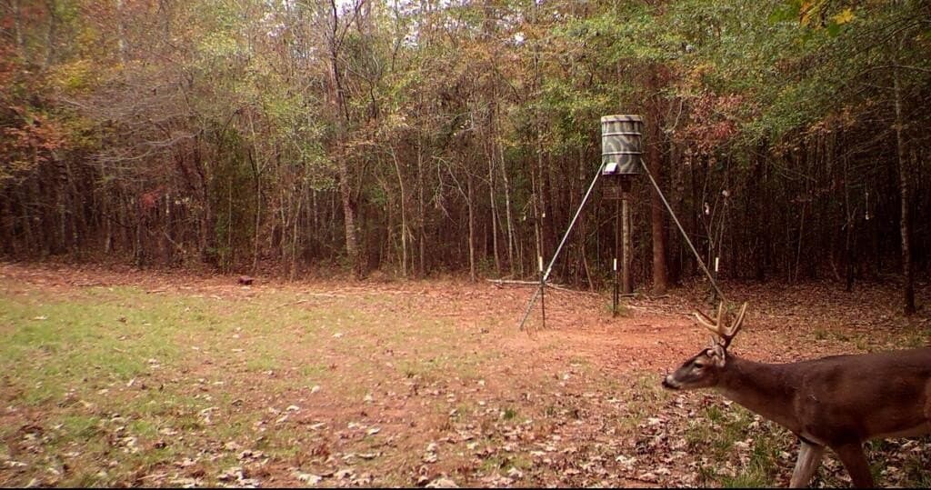 98.26 acres in Texas County - photo 21