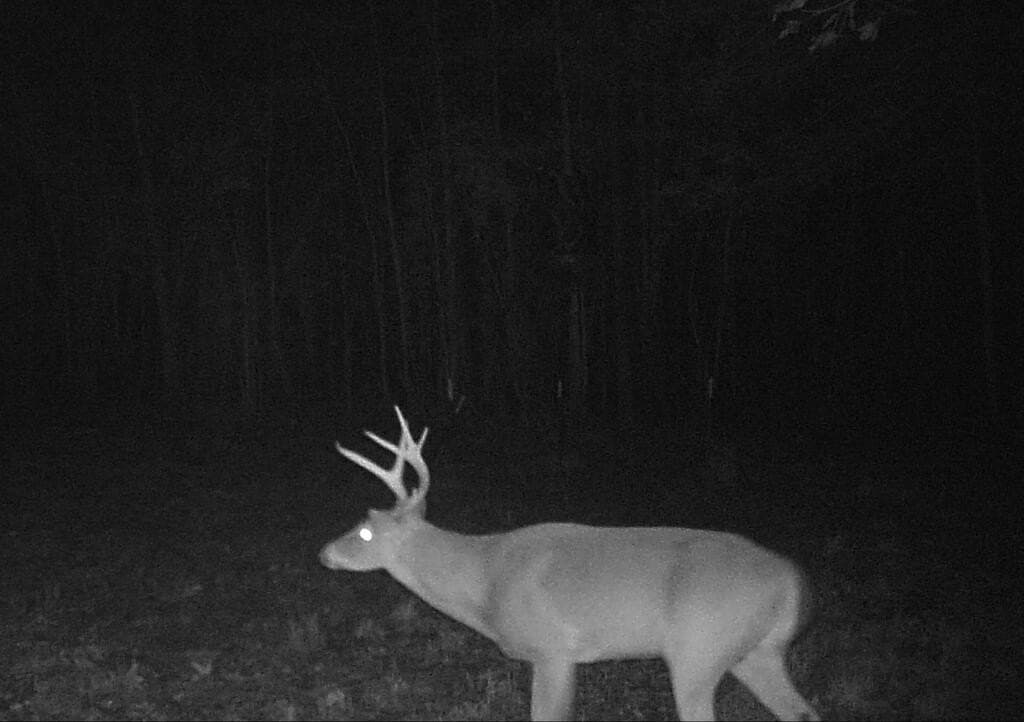 98.26 acres in Texas County - photo 20