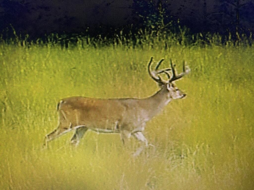 98.26 acres in Texas County - photo 29