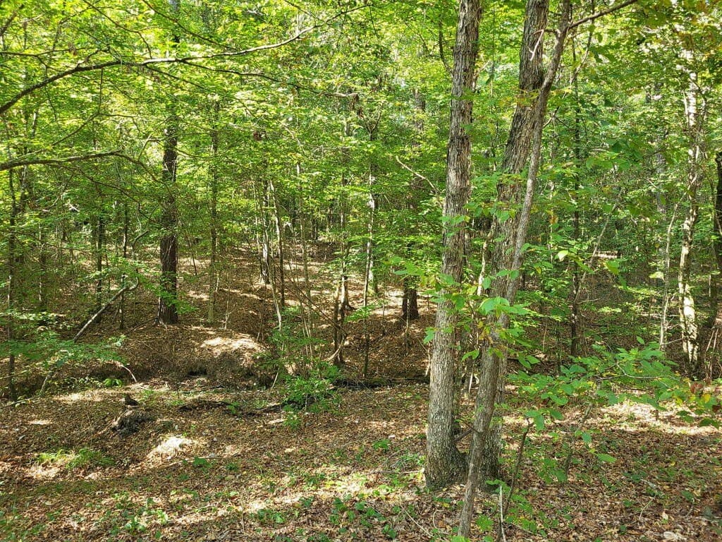 98.26 acres in Texas County - photo 4