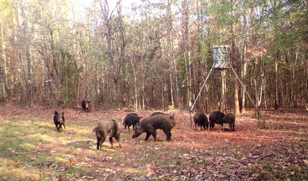 98.26 acres in Texas County - photo 25