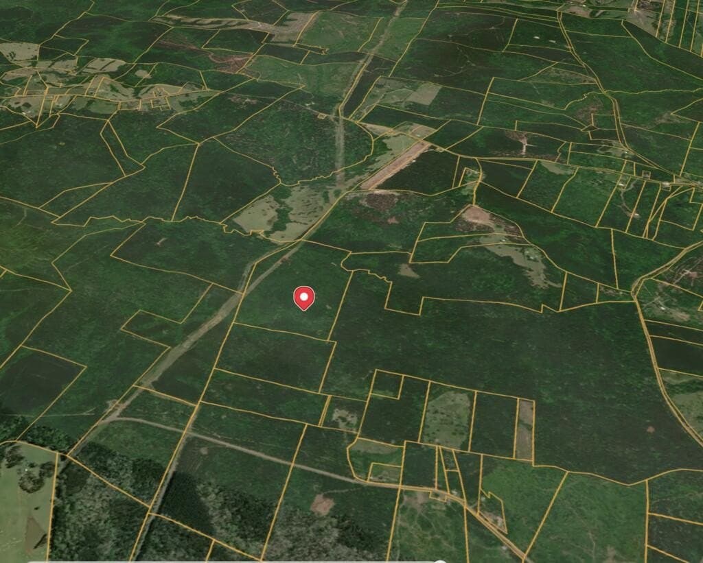 98.26 acres in Texas County - photo 33