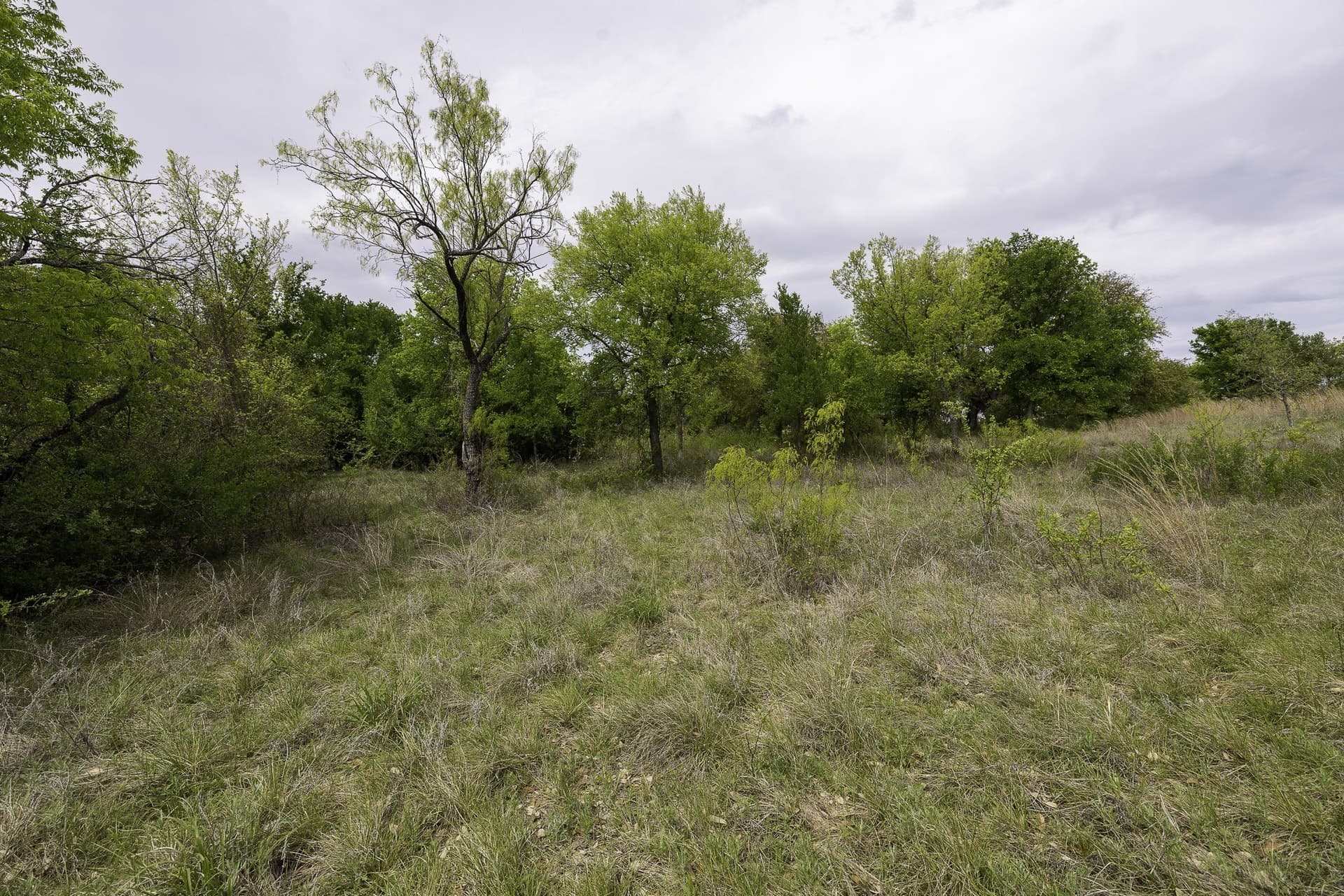 5.4 acres in Erath County - photo 10