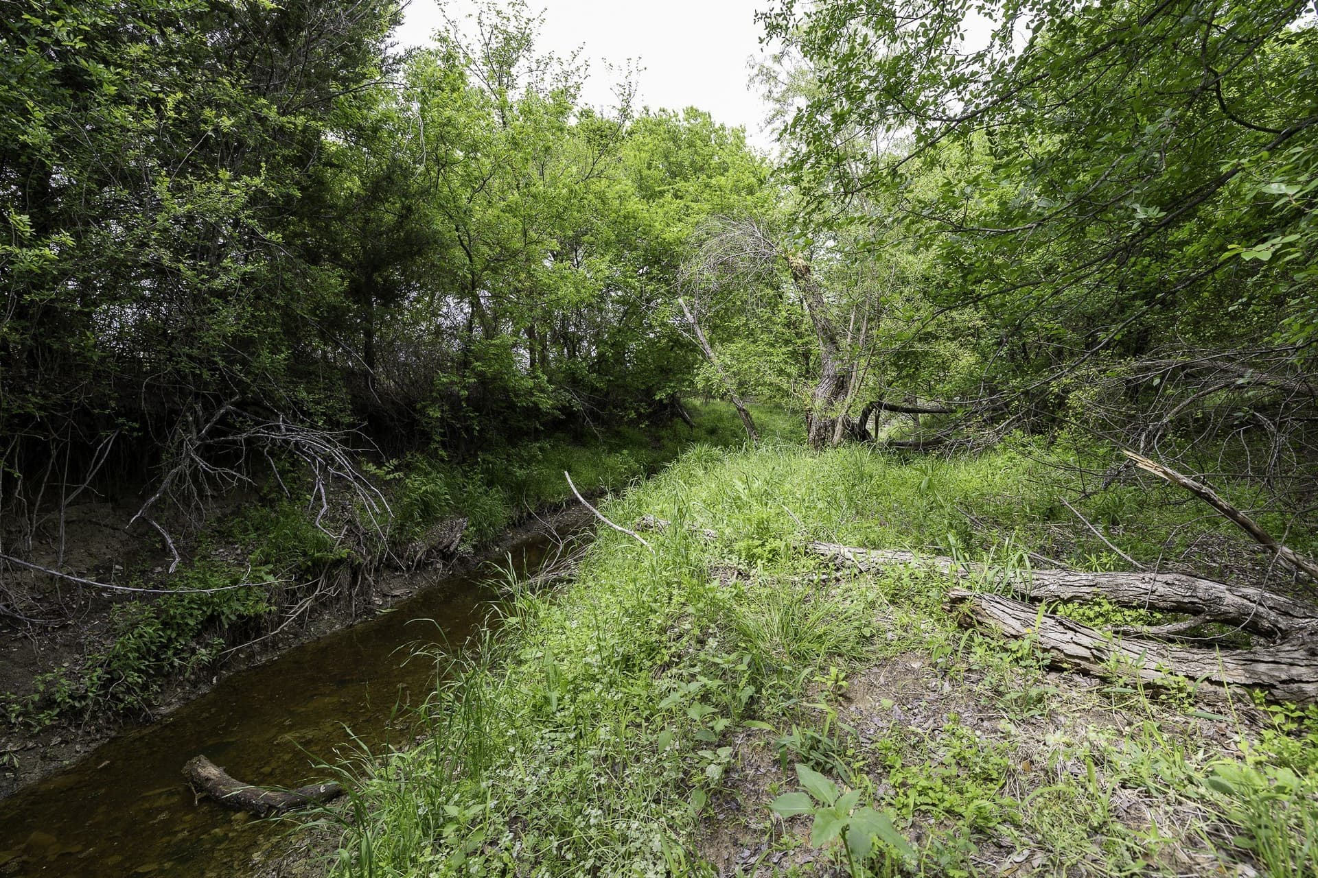 5.4 acres in Erath County - photo 6