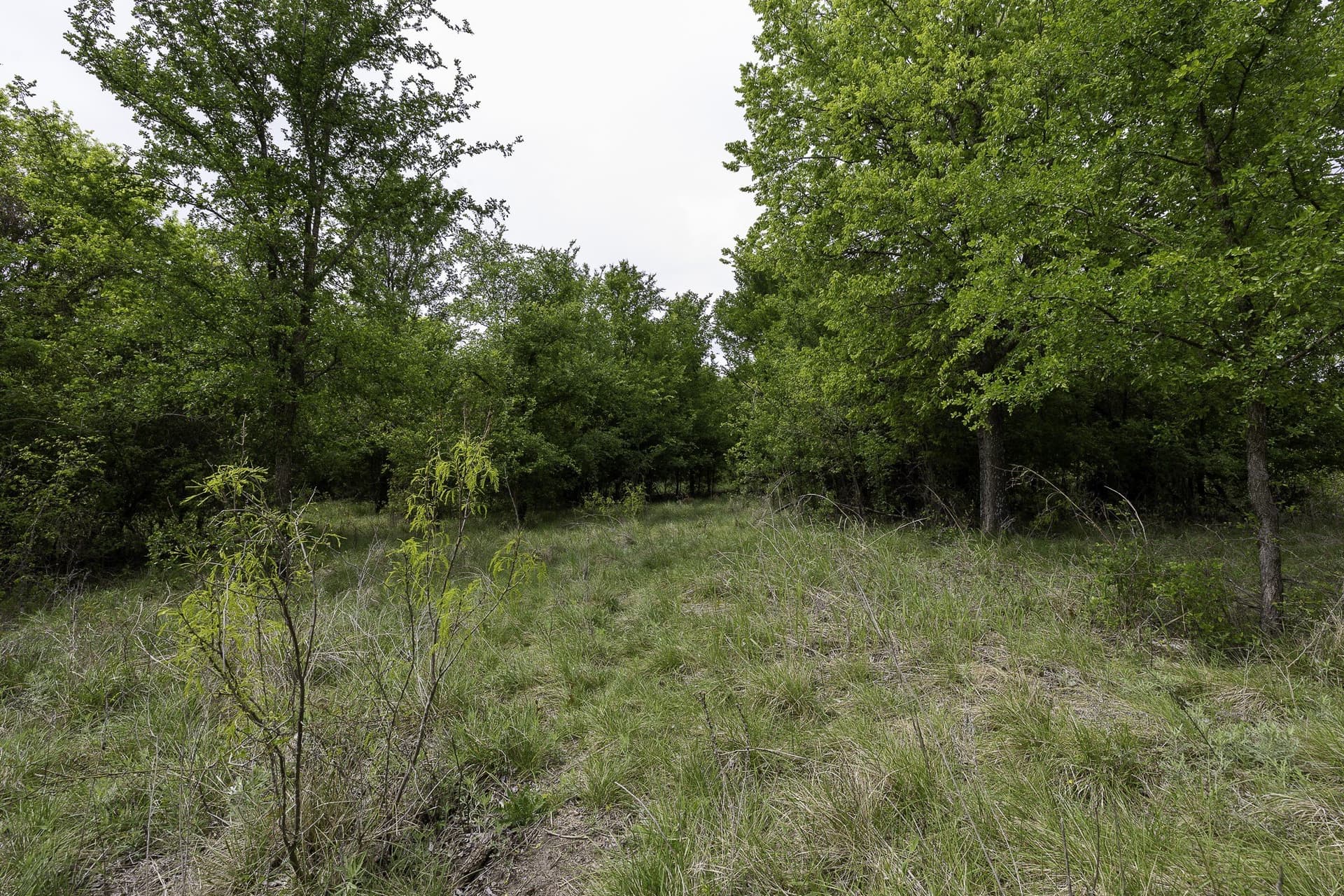 5.4 acres in Erath County - photo 7