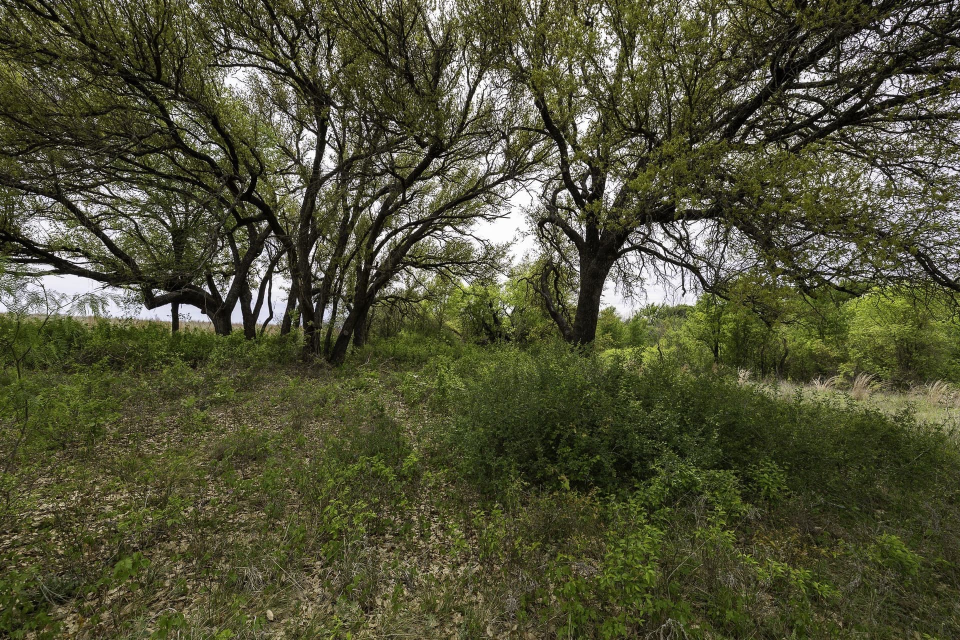5.4 acres in Erath County - photo 11