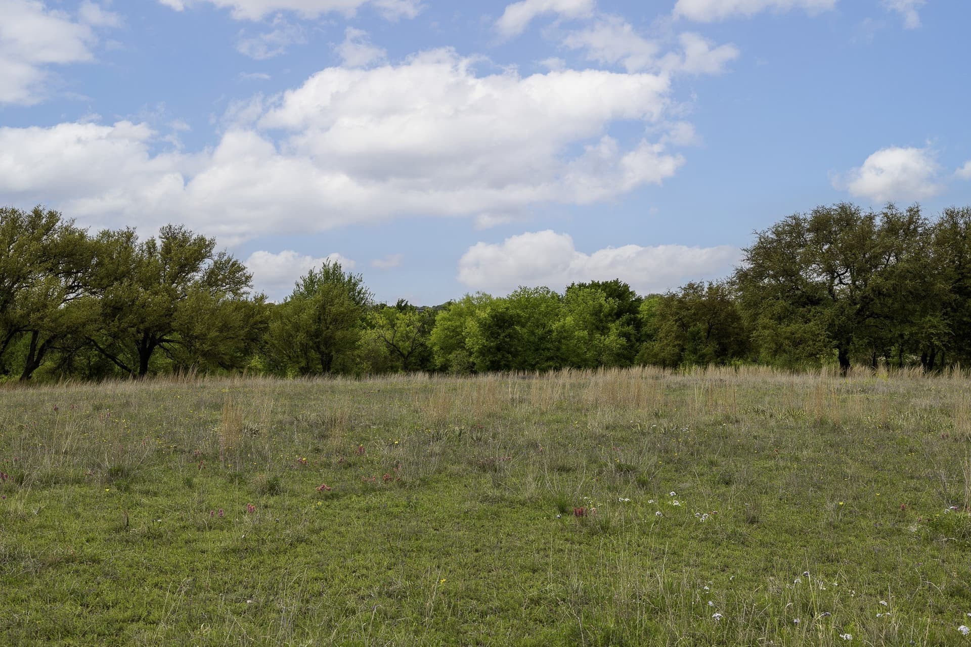 5.4 acres in Erath County gallery image 3