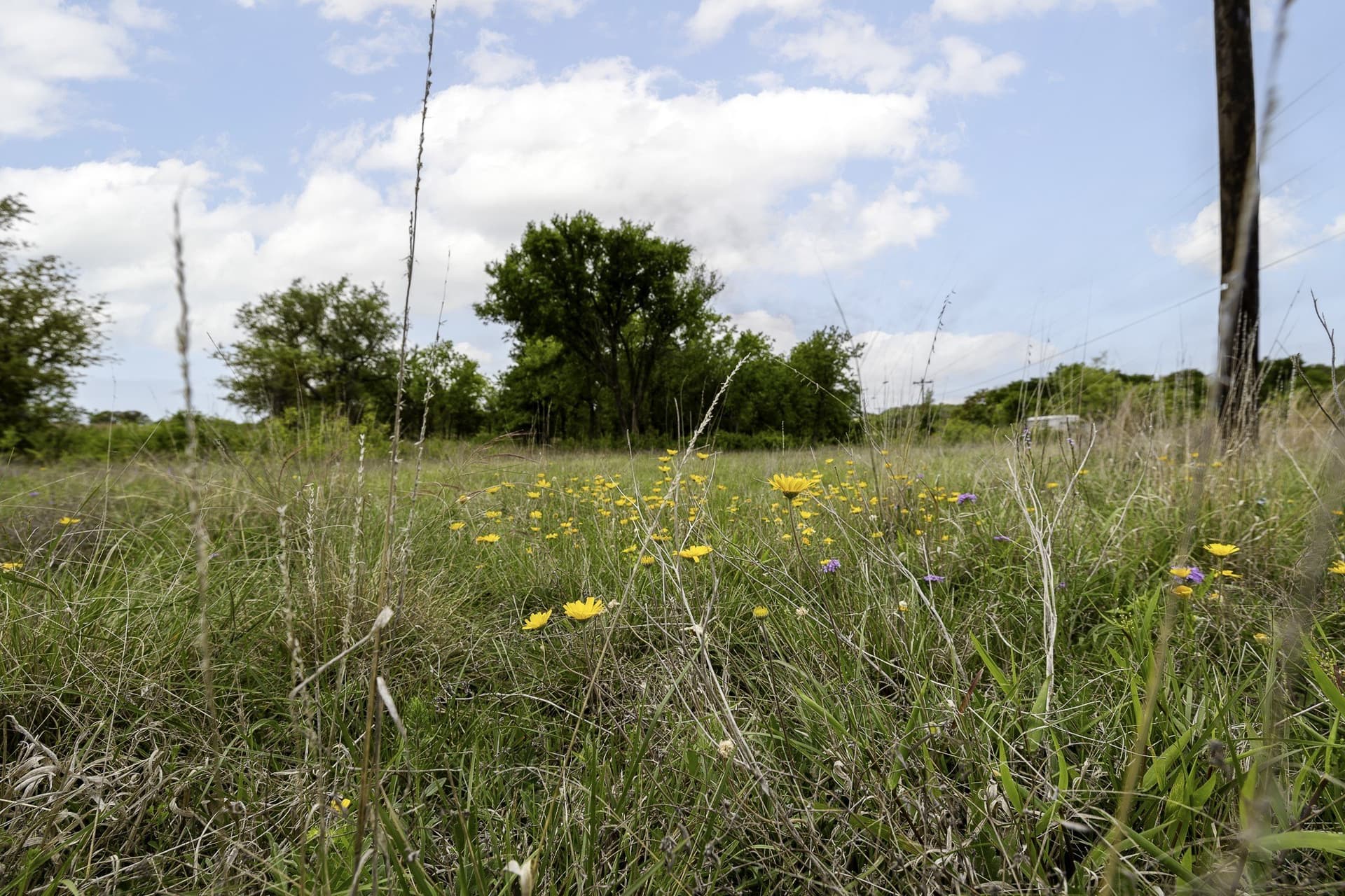 5.4 acres in Erath County featured view